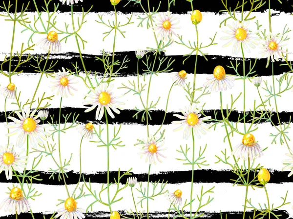 カモミールの花のシームレス花柄夏の背景。漢方薬。ベクトルの図。壁紙、パターンの塗りつぶし、web ページの背景、表面のテクスチャ、繊維に最適 — ストックベクタ
