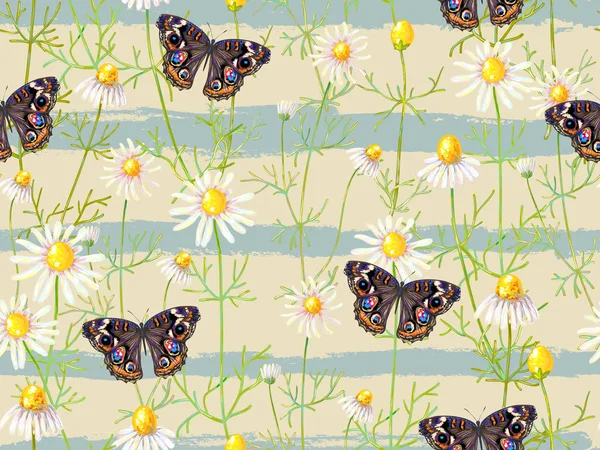 Nahtloses Blumenmuster mit Kamillenblüten und Schmetterling. Sommer-Hintergrund. Vektorillustration. perfekt für Tapeten, Musterfüllungen, Webseiten-Hintergründe, Oberflächentexturen, Textilien — Stockvektor