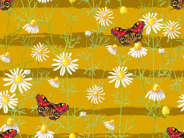 Padrão floral sem costura com flores de camomila e borboleta. Fundo de verão. Ilustração vetorial. Perfeito para papéis de parede, enchimentos padrão, fundos da página web, texturas de superfície, têxtil — Vetor de Stock