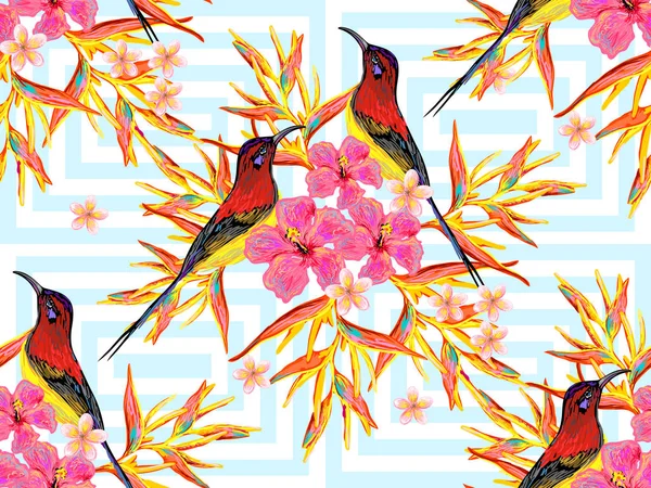 Naadloze zomer tropische patroon met vogels, vlinders en exotische bloemen vector achtergrond. Perfect voor achtergronden, opvulpatronen, web-pagina-achtergronden, oppervlakte texturen, textiel — Stockvector