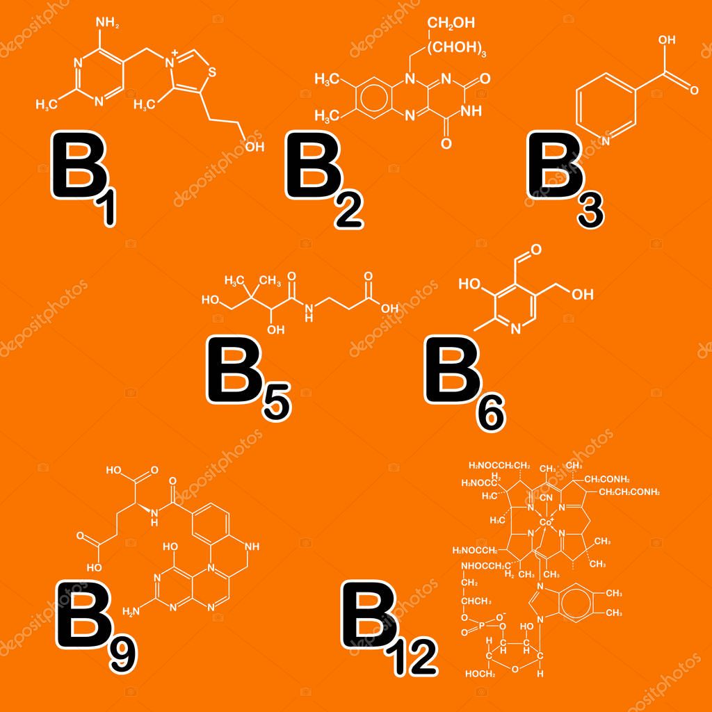 vitamina b1 b2 b5 b6 b12