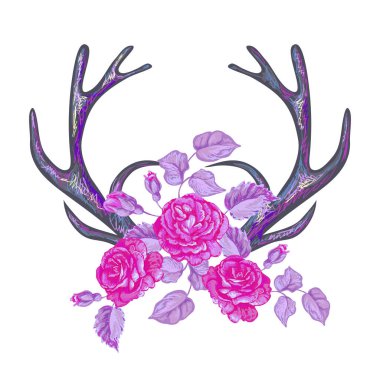 Gül çiçek ile boynuzları. Tasarım öğesi geyik boynuzları ve gül beyaz arka plan üzerinde. Çizilmiş boho chic tarzı el 
