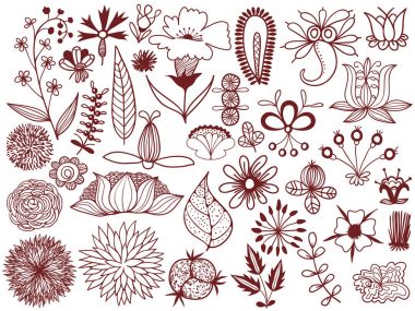 Slav çiçek kümesi. Yaz Lehçe çiçek koleksiyonu