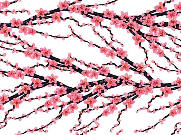 Wzór z japońskiej wiśni kwiaty białe. Vintage wektor ilustracja botaniczna wektor tle. Idealny do Tapety, tła strony internetowej i tekstury powierzchni, deseniem włókienniczych — Wektor stockowy
