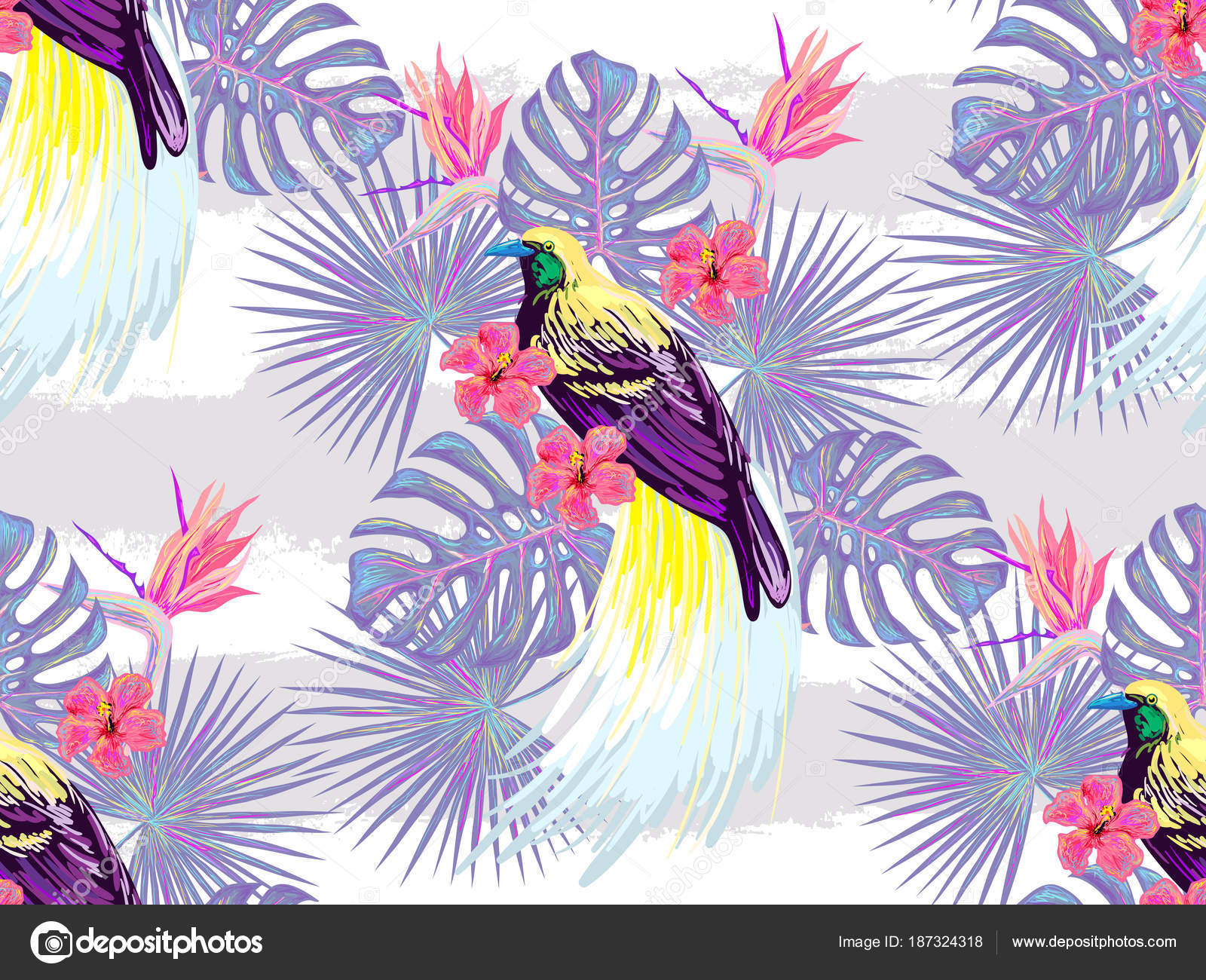Modèle Tropical Sans Soudure Oiseau De Paradis Fleurs
