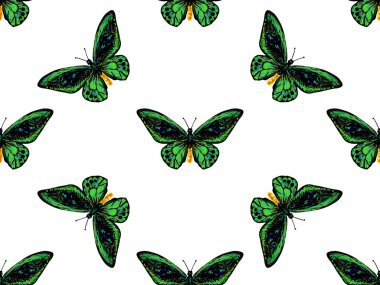 Kelebek. Seamless modeli kelebek. Sonsuz renkli doku vektör arka plan. Duvar kağıtları, desen dolgularını, web sayfası arka planlar, yüzey dokuları, tekstil için mükemmel