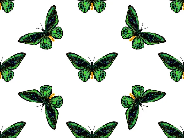 Mariposa. Patrón inconsútil de mariposas. Fondo de vector de textura colorida sin fin. Perfecto para fondos de pantalla, rellenos de patrones, fondos de página web, texturas superficiales, textiles — Archivo Imágenes Vectoriales