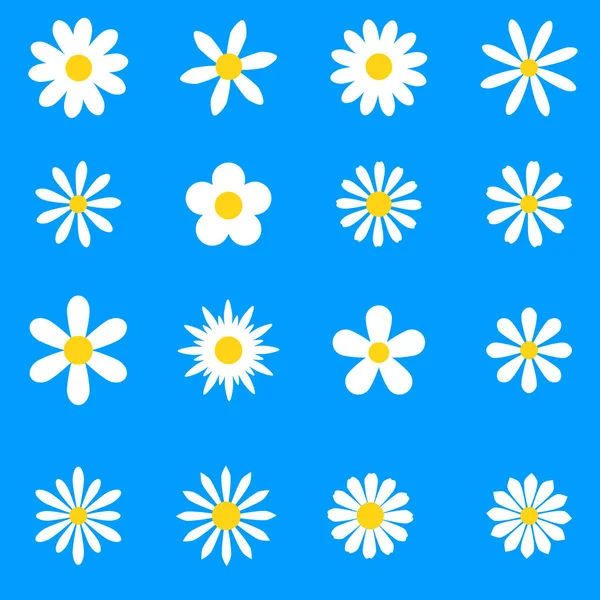 カモミールだ白い大輪の花をセット。カモミールアイコンコレクション。青い背景に隔離されています。フラットデザイン。ベクトルイラスト夏のカモミールの花。愛のシンボル — ストックベクタ