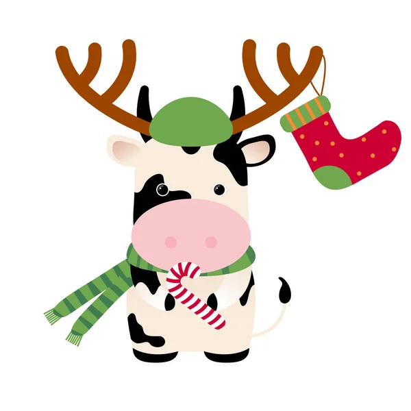 Buey con cuernos de ciervo, calcetín de Navidad para regalos, bastón de caramelo dulce. Horóscopo Chino 2021 (Año del Buey Metal Blanco). Chino símbolo de año nuevo de 2021. Linda vaca. — Archivo Imágenes Vectoriales