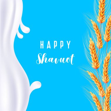 Mutlu Shavuot 'lar. Süt, buğday. Vektör çizimi. Süt damlatıyor. Vektör gerçekçi izole tebrik kartı Shavuot Yahudi bayramı ve dekorasyon ve kaplama için buğday. Mutlu Shavuot kavramı