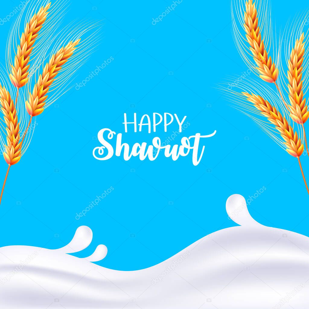 Happy Shavuot. Milk, wheat. Vector illustration. Dripping milk. Vector realistic isolated greeting card Shavuot Jewish holiday and wheat for decoration and covering. Concept of Happy Shavuot