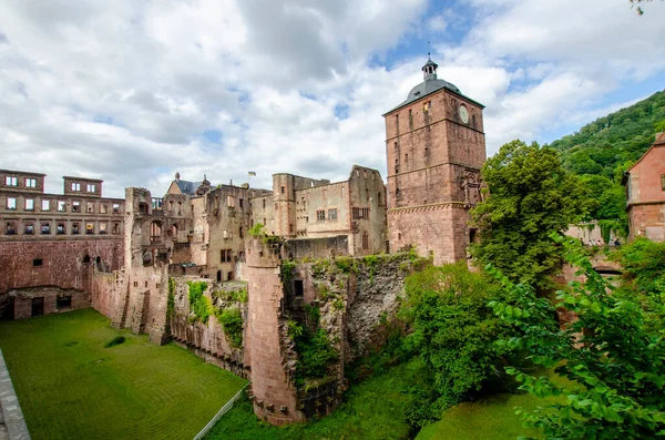 heidelberg castle ruins on hill with trees