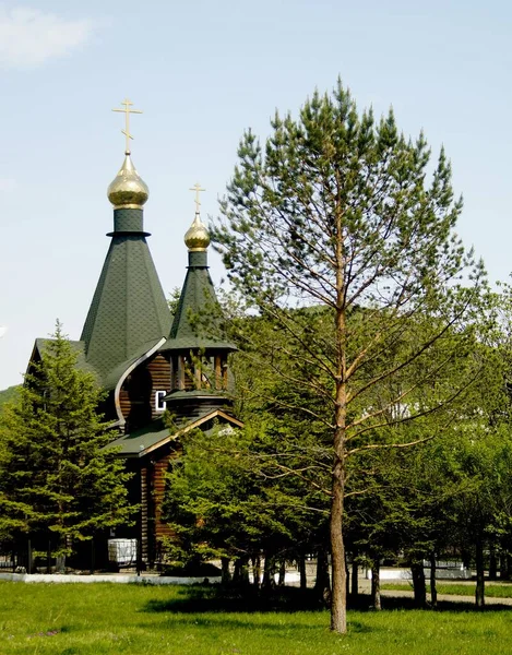 Village Church Golden Domes — Stock Photo, Image