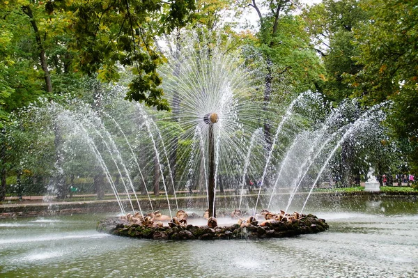 Sommerbrunnen Peterhofpark — Stockfoto