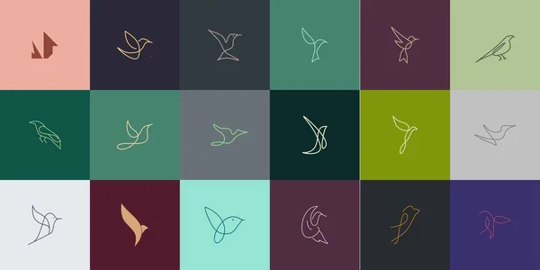 Modern konsepte sahip birinci sınıf kuş logosu. Kuş simgesi vektör illüstrasyonu