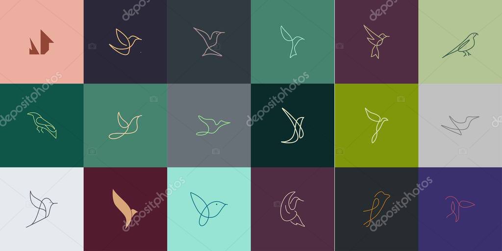 Set of Premium Bird logo with modern concept. Bird icon vector illustration