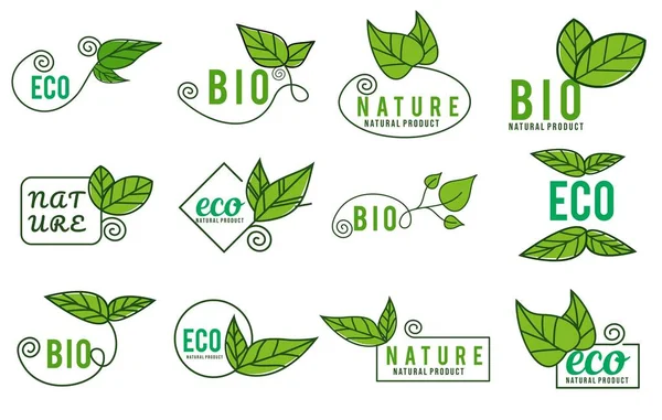 Set Von Green Nature Produkten Biolebensmitteln Und Naturprodukt Symbolen Und — Stockvektor