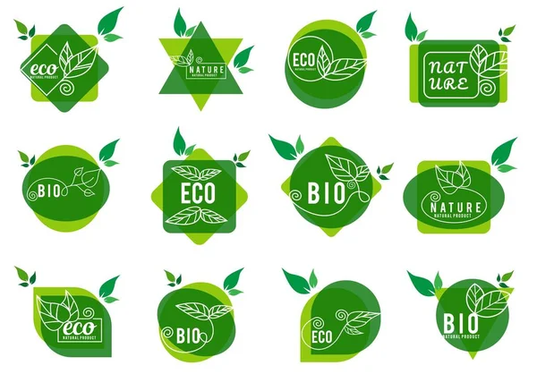 Set Green Nature Product Organic Food Natural Product Icons Elements — Stock Vector