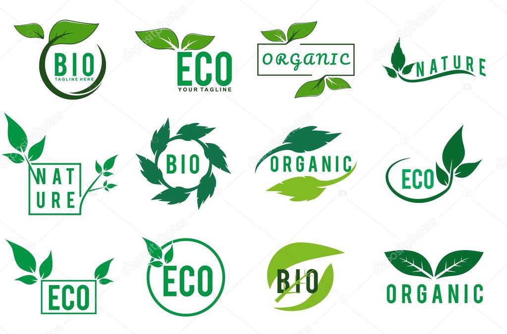 Set of Green Nature product , Organic food, and natural product icons and elements collection for food product design. vector illustration