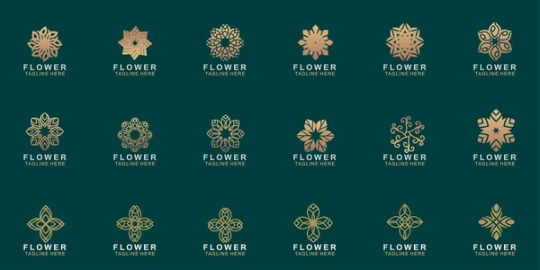 Conjunto Diseño Logotipo Flor Premium Vector Abstracto Flor Lujo Joya — Archivo Imágenes Vectoriales