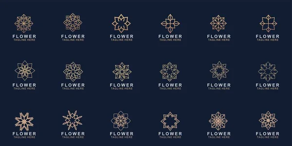 Conjunto Diseño Logotipo Flor Premium Vector Abstracto Flor Lujo Joya — Archivo Imágenes Vectoriales