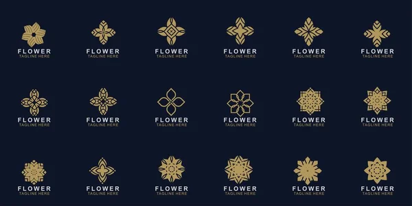 Ensemble Logo Fleur Premium Design Vecteur Abstrait Fleur Luxe Bijou — Image vectorielle