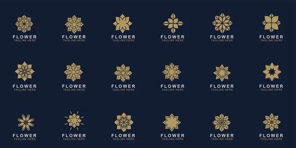 Ensemble Logo Fleur Premium Design Vecteur Abstrait Fleur Luxe Bijou — Image vectorielle