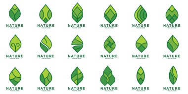 Yaprak simgesi tasarım şablonu. Yeşil Doğa Simgesi Tasarımı