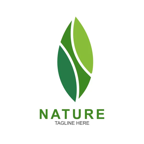 Plantilla Diseño Hoja Logo Naturaleza Verde Icono Diseño — Vector de stock