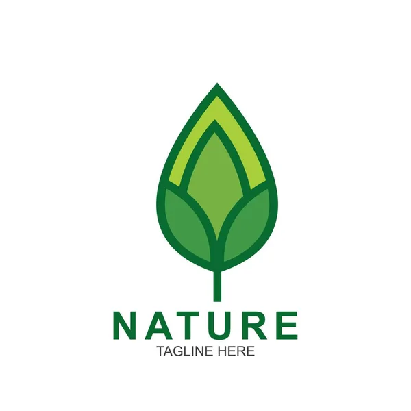 Modelo Logotipo Projeto Folha Design Ícone Natureza Verde — Vetor de Stock