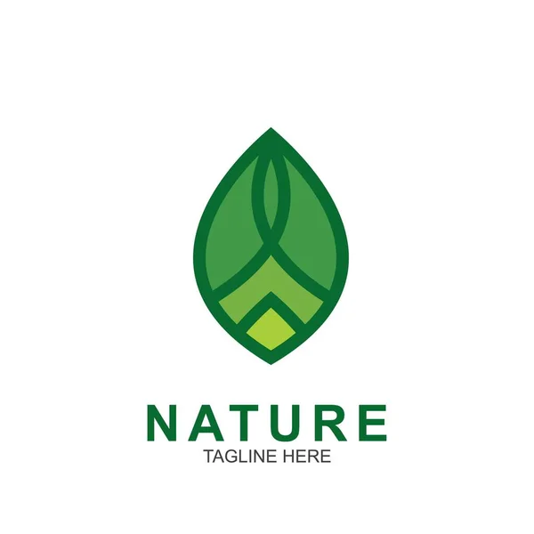 Plantilla Diseño Hoja Logo Naturaleza Verde Icono Diseño — Vector de stock