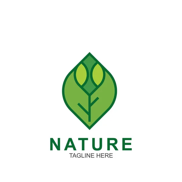 Plantilla Diseño Hoja Logo Naturaleza Verde Icono Diseño — Vector de stock