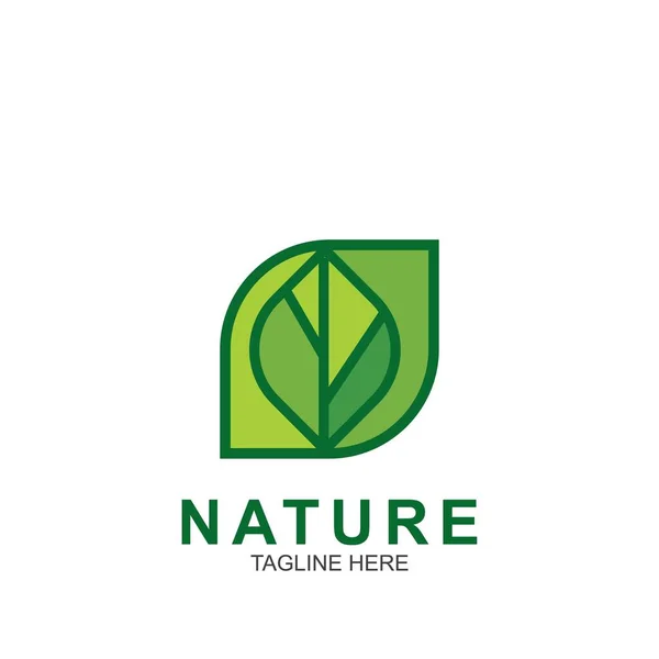 叶型设计标志模板 绿色自然图标设计 — 图库矢量图片
