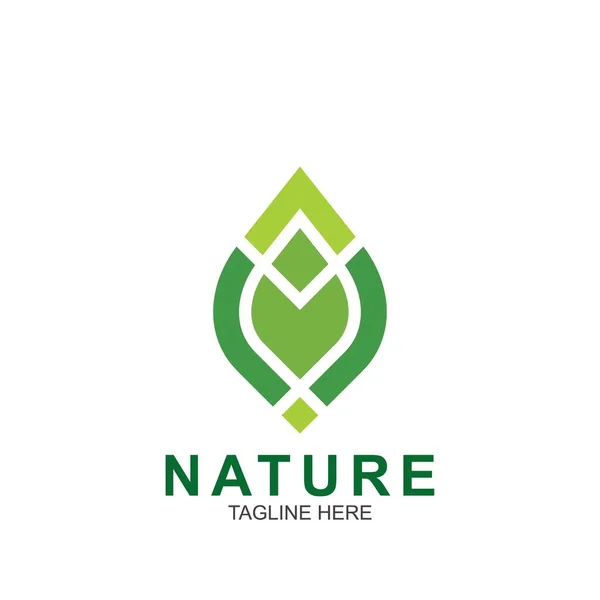 Plantilla Diseño Hoja Logo Naturaleza Verde Icono Diseño — Vector de stock