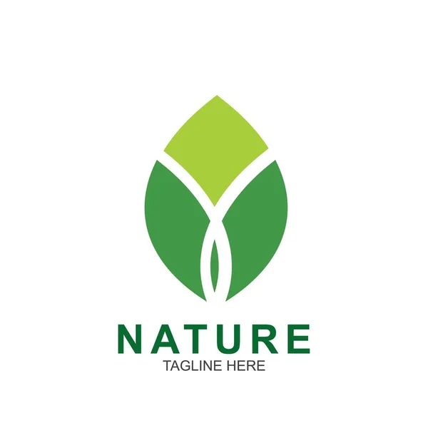 Plantilla Diseño Hoja Logo Naturaleza Verde Icono Diseño — Vector de stock