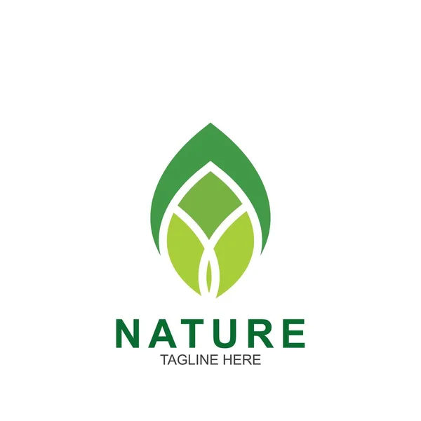 Plantilla Diseño Hoja Logo Naturaleza Verde Icono Diseño — Vector de stock