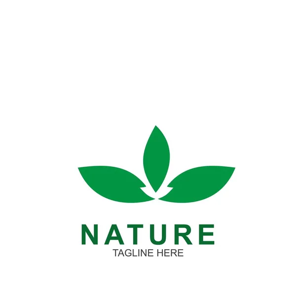 Plantilla Diseño Hoja Logo Naturaleza Verde Icono Diseño — Vector de stock