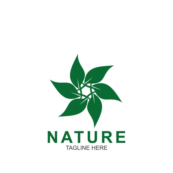 Plantilla Diseño Hoja Logo Naturaleza Verde Icono Diseño — Vector de stock