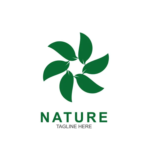 Plantilla Diseño Hoja Logo Naturaleza Verde Icono Diseño — Vector de stock