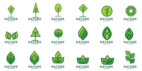 Set Von Blatt Icon Design Vorlage Green Nature Icon Design — Stockvektor