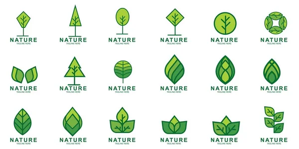 Set Van Leaf Pictogram Ontwerp Template Groene Natuur Icoon Ontwerp Stockillustratie