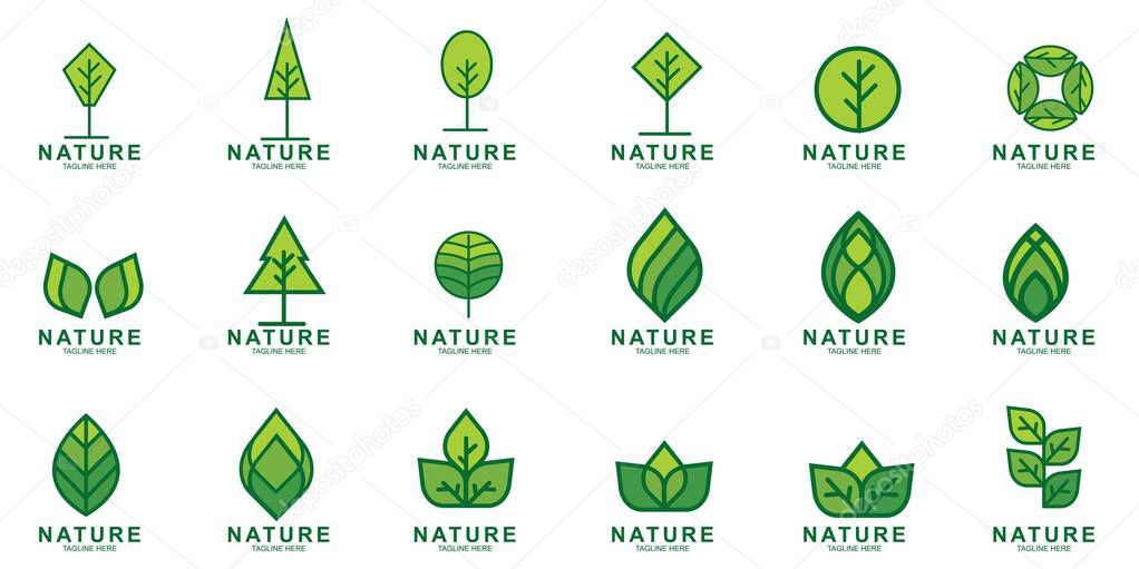 Set of Leaf icon design Template. Green Nature Icon Design