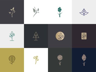 Premium Ağaç Logosu Tasarımı. Soyut Ağaç Simgesi Vektör İllüstrasyonu