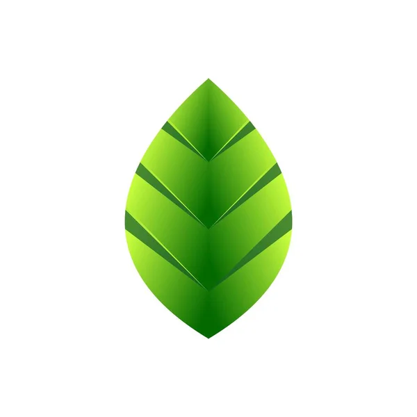 Modèle Logo Conception Feuille Icône Nature Verte Design — Image vectorielle