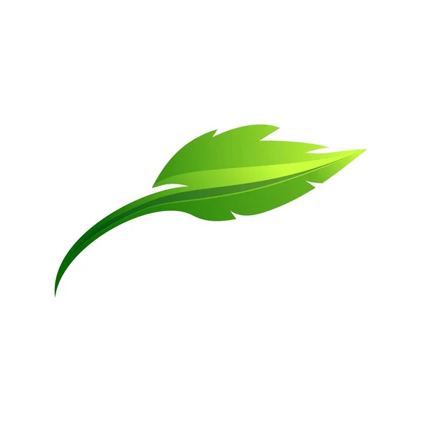 Bladontwerp Logo Template Groene Natuur Icoon Ontwerp — Stockvector