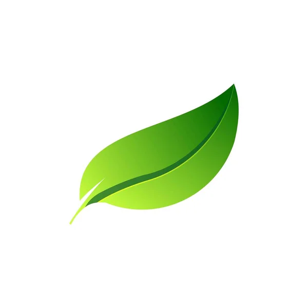 Bladontwerp Logo Template Groene Natuur Icoon Ontwerp — Stockvector