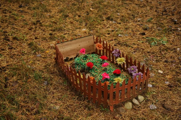 Cimitero degli animali domestici nella foresta — Foto Stock