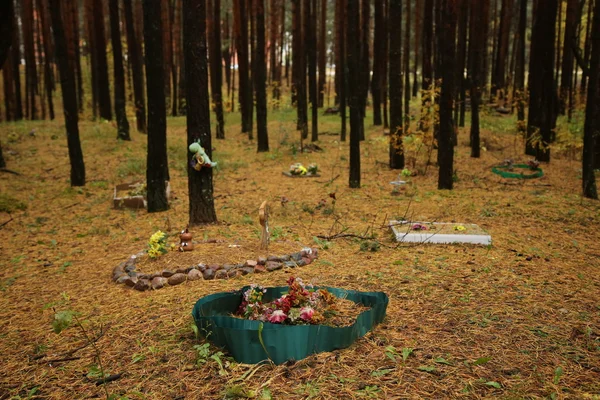 Huisdier begraafplaats in het bos — Stockfoto