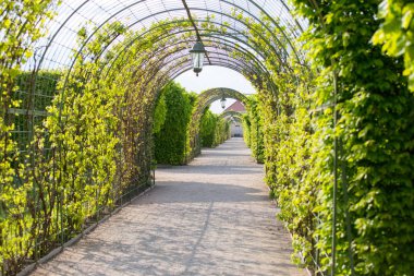 Güzel bahçe geçitle