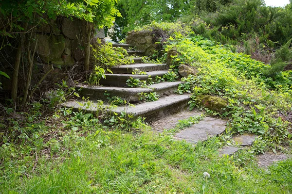 Eski beton merdivenler — Stok fotoğraf